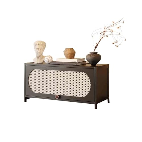 TCh{[h PwR[i[TCh{[h{IfXNgbv[rO[{Iot80cm