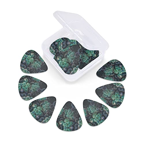Ensemble de 12 médiators de guitare de plantes succulentes pour guitare acoustique, guitare électrique, contrebasse… - Les Beatles, Paul McCartney, John Lennon, RIngo Starr, George Harrison Ensemble de 12 médiators de guitare de plantes succulentes pour guitare acoustique, guitare électrique, contrebasse… – Image 7