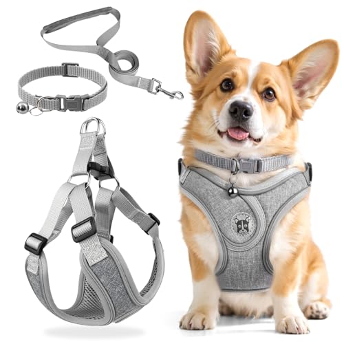 3 Stück Hundegeschirr und Leine Set, Verstellbares Brustgeschirr, Reflektierendes atmungsaktives Hundegeschirr mit D-Ring, Hundegeschirrs Set für Welpen, Kleine Hunde