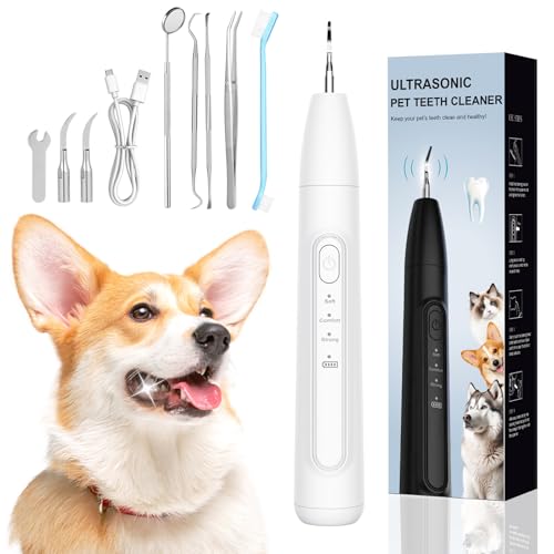 Ultrasonic Dog Plaque Remover Tool