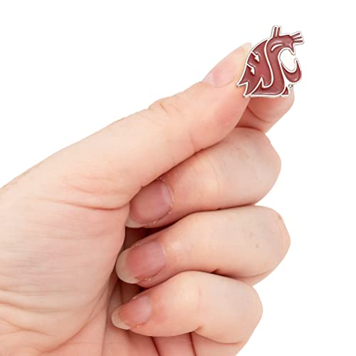 Image of Desert Cactus Washington State University Lapel Pin WSU Cougars Made of Metal for Formal Wear, Bag and Hat Jewelry, and Tie Tack (Pin A)