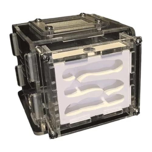 TOTIKI Ameisenfarm Ameisenburg Transparente Ameise Ökologische Werkstatt Ameisenfarm Ameisennest Farm Beobachten Formicarium