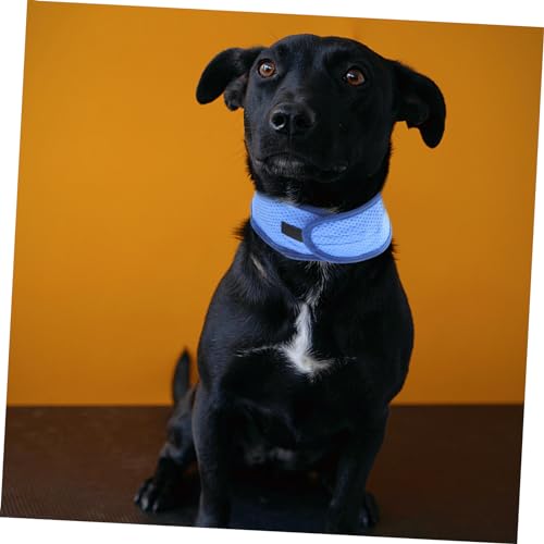 Collier de chien refroidissement et dissipation de chaleur respirant - 7