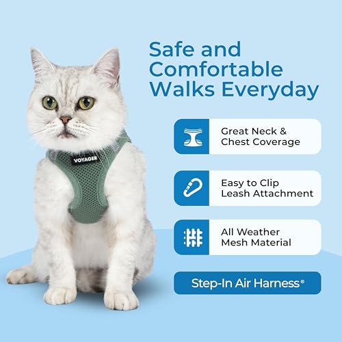 Image of Voyager Step-in Pet Harness - All Weather Mesh, Adjustable Step in Harness for Cats and Dogs by Best Pet Supplies - 307 Set Moss Green, XS
