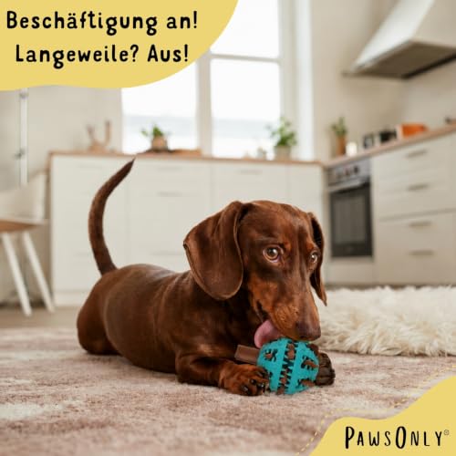 PawsOnly | Leckerli Ball für Hunde | Intelligenzspielzeug | Klein Blau