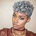 BeiSD Short Colored Hair Wigs for Black Women Short Hairstyles for Women Newest Short Colorful Hairstyles (89183)