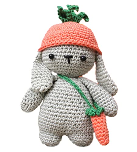 Kit de crochet à faire soi-même avec instructions et matériau pour lapins Frank - Environ 16 cm Cover
