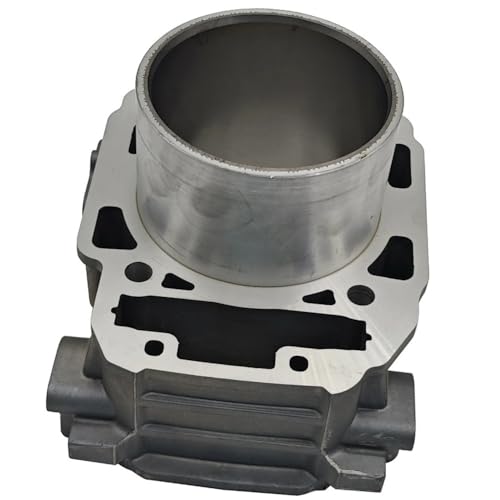 Bloc-cylindres avant pour SFA 1000 moteur 139016770020