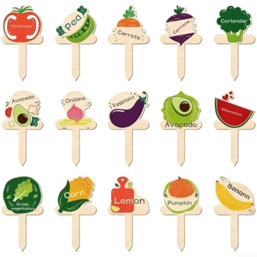 Marcadores de madera para plantas, estilo T, 15 piezas con diseños de dibujos animados y nombres de plantas para una fácil identificación en huertos de verduras y frutas (A)