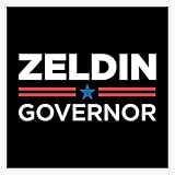 Lee Zeldin for Governor of New York Republican Sticker Vinyl Decal Bumper Sticker 5"
