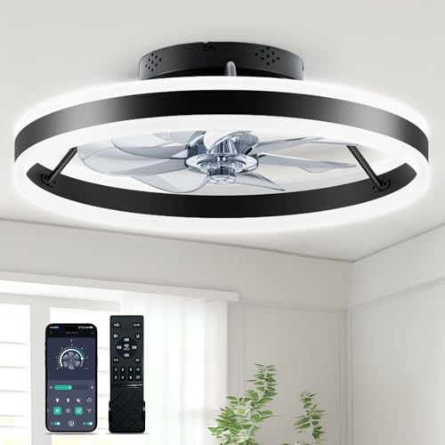 Ceiling Fans with Lights and Remote, 20” Low Profile Ceiling