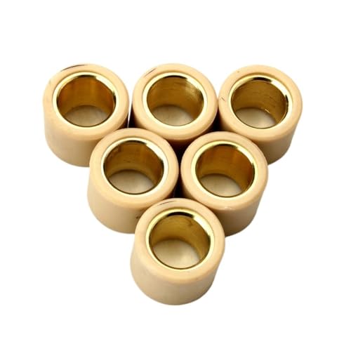 Galets de variateur 20x17 pour moteur Rotax 200 et Leonardo 125