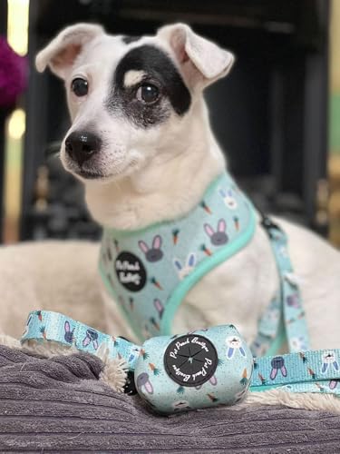 Mint Choc Chip Easter Bunny Dog Harness M, Green, medium - Image 3