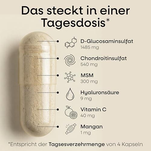 Glucosamin Chondroitin hochdosiert MSM Kapseln | 240 Stück | mit Vitamin C, Hyaluronsäure & Mangan | hochdosiert für Knorpel Knochen Kollagenbildung | laborgeprüft in Deutschland | 2 Monate Vorrat