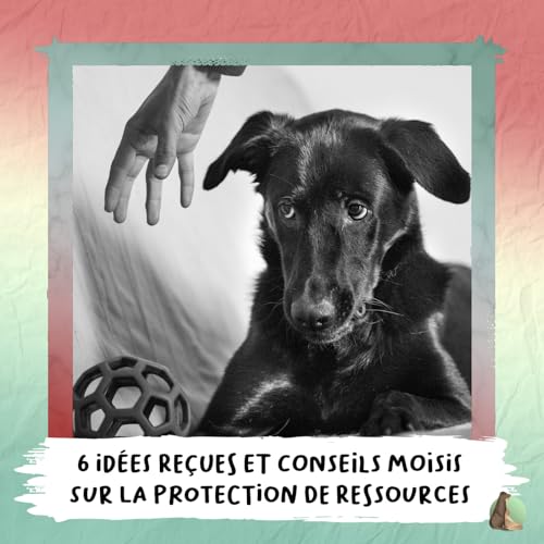 9. Six id&eacute;es re&ccedil;ues et conseils moisis sur la protection de ressources 🐊 copertina