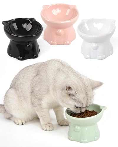Ceramic Elevated Cat Bowls, 4-Pack