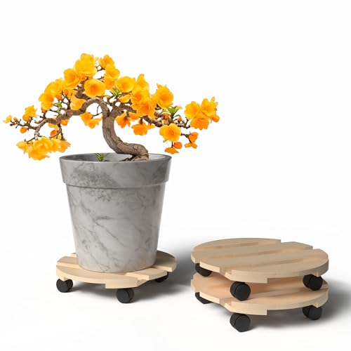 BigDean Pflanzenroller Holz 3er Set Rund 30 cm - 120 Kg belastbar Rolluntersetzer aus Buchenholz Indoor & Outdoor Blumentopf Untersetzer mit Rollen