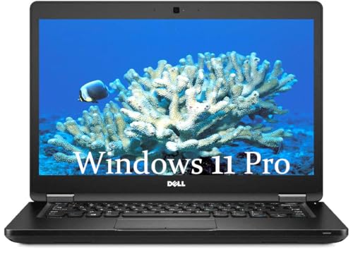 Dell Latitude 5480   Ordenador portátil, 14in Display, Intel Core i5 6300U 2.4GHz, 8GB RAM, 256GB SSD, QWERTY Keyboard, Windows 11 Pro (renewed)