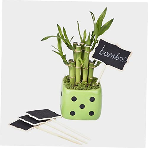 Plafope 30Pcs Decorative Insert Woodsy Decor Birthday Toppers For Cakes Food Labels Succulent Name Tag Chalkboard Plant Markers Garden Label Stakes Garden Labels Garden Plant Labels Poker #TOP2