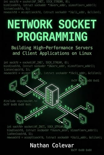 Network Socket Programming: Building High-Performance Servers and Client Applications on Linux (Professional Systems Engineering)