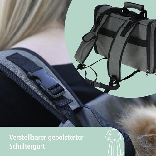 Kerbl Pet Hunderucksack Vacation, Hundetasche, Hundetransport, grau, blau, 43x24x30cm, Oxfordgewebe, kleine Hunde, Katzen, robust, schmutzabweisend