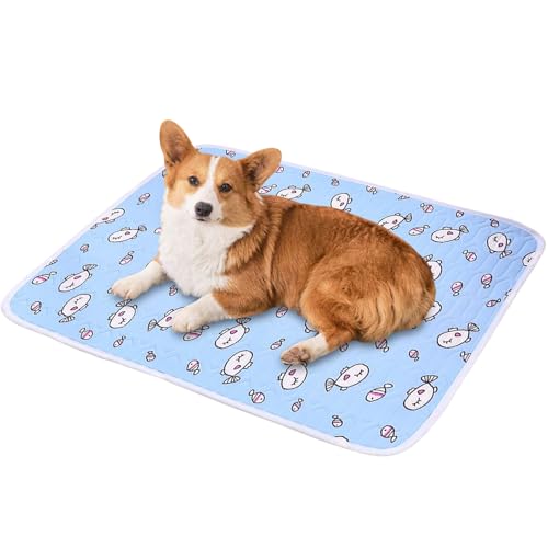Alfombra refrescante portátil para mascotas genérica | Alfombra de sueño refrescante para cama de perro de dibujos animados | Suministros para mascotas clima cálido transpirable para parque playa al