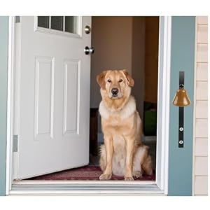 Doorbell,Fastened Steel Canine Doorbell,Handbook Assemble Wall Mounted Canine Door Bell for Housetraining Door Bell/Potty Coaching/When coming into The home (Black) Doorbell,Fastened Steel Canine Doorbell,Handbook Assemble Wall Mounted Canine Door Bell for Housetraining Door Bell/Potty Coaching/When coming into The home (Black)