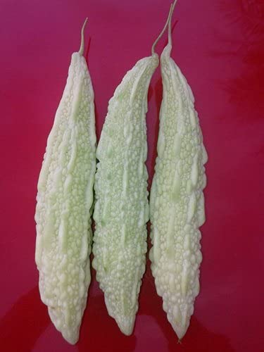 Golden Hills Farm Hybrid Bitter Gourd White Long High Yield 40+ Seeds (B095PSJJD4) Amazon Price History, Amazon Price Tracker