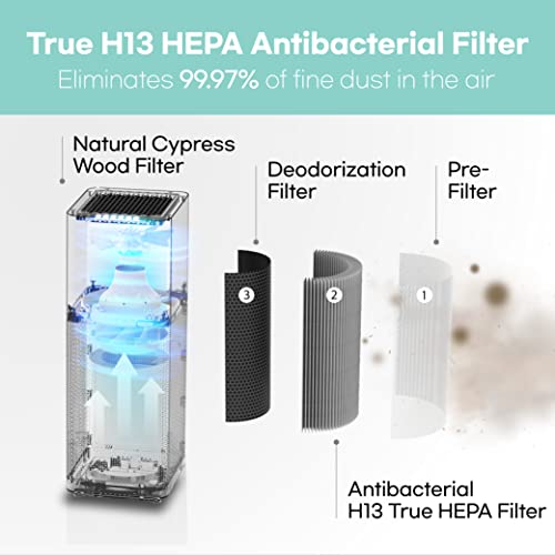 IMUNSEN M-001B True HEPA 13 Filter Air Purifier for Home, Large Room, Pets with Carbon Deodorization Filter, 99.97% Particles, Smokes, Odor, Cyclone Mode, Quiet Auto Sleep Mode - Black by IMUNSEN - Image 2