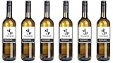  6x Markus Pfaffmann Grauburgunder trocken 2020 - Weingut Karl Pfaffmann, Pfalz - Weißwein