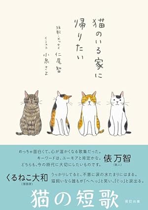 Amazon.co.jp: 猫の菊ちゃん 2 : 湊文: 本