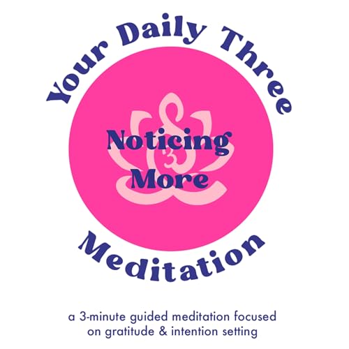 Your Daily Three Meditation - Noticing More