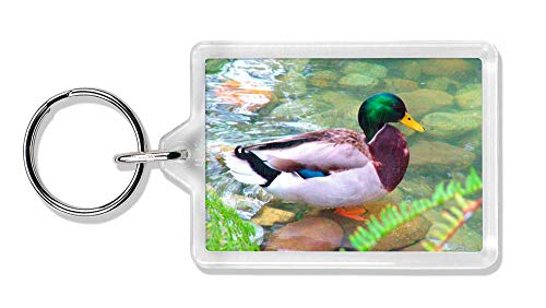 Preisvergleich Produktbild Advanta - Keyrings Mallard Duck durch Strom Foto Schlüsselbund TierstrumpffüllerGeschenk