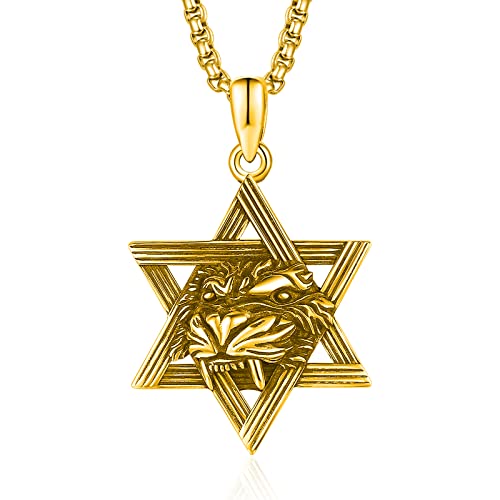 HXWZB Star of David Lion Necklace for Men Sterling Silver Gold Plated Lion David Jewish Jewerly for Men Father Boy