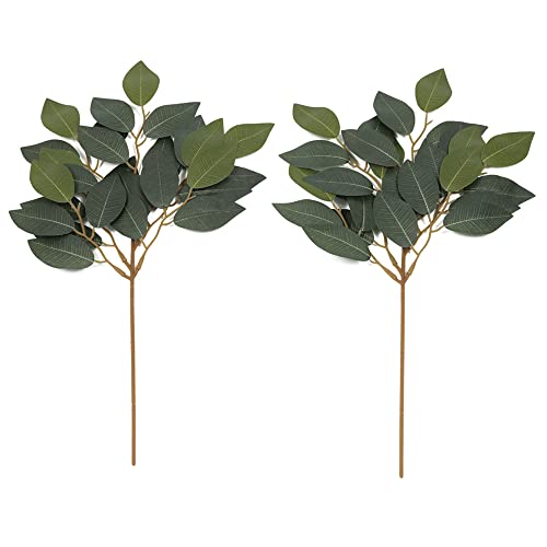 _Ȉ _ _ [ 2 ()  ] TJL  2{Zbg