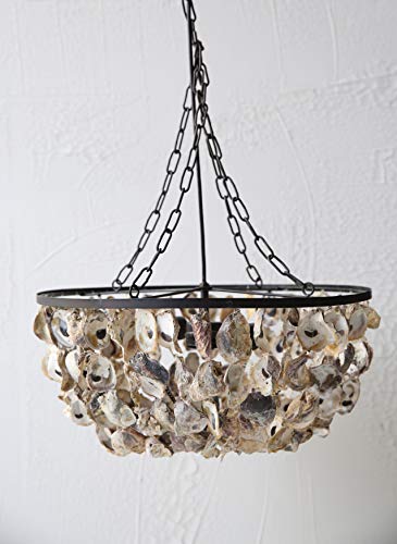 Creative Co-Op Round Oyster Shell Chandelier with 2 Lights - Image 8