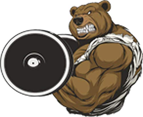 Angry Aggressive Buff Muscular Powerlift Exercise Animal Cartoon - Bear Barbell Vinyl Sticker (2