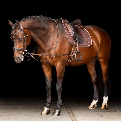 Encuadernador de piel Imperial Riding IRH Core para entrenamientos de hípica en campos y pistas 3