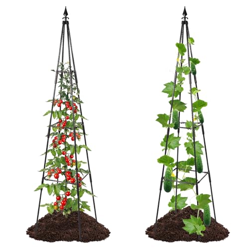OTOSUNNY Garden Trellis for Climbing Plants Outdoor, 67" Tall Metal Obelisk Trellis Climbing Plants Support for Vegetable|Flower|Vine, Tomato, Peas, Beans, Cucumber Trellis, Lightweight, 1 Pack