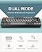 MAGIC-REFINER RK68 Kabellose Mechanische Gaming-Tastatur, Dual-Mode 2.4 GHz Wireless/Bluetooth 5.0, 60% Prozent Tastatur Hot-Swap-fähiger Roter Schalter mit 2-in-1-Empfänger für PC/Mac/Smartphone