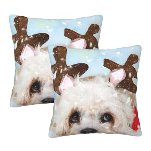 Wynrib NX}X̃giJC X[s[ Jo[ 2Zbg vbV Jo[  BWbp[ \tg XNGA NbV Jo[ z[ JE` \t@[ peBI Qp JE`Ɂi20"x20" j