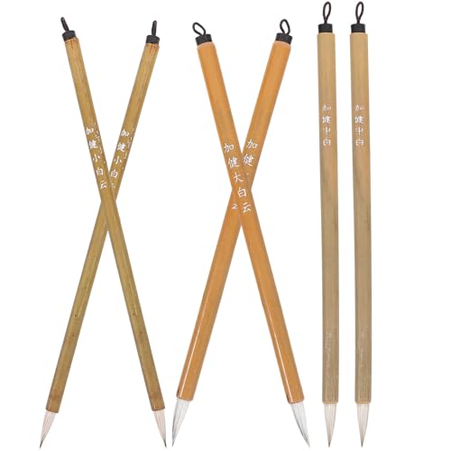 VANZACK 6 ]|ʕM 咆e 炩ȏSn ΉM w SҌK ߂`@