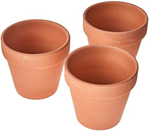 Vaso Terracota Natural 3 Peças, Home & Co, Clay, Único