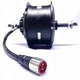 BF 8FUN G062 48V 1000W Thread on Rear Hub Motor Drop Out 190mm with Disc Brake for Fat Bike (G11.6 Male Plug)