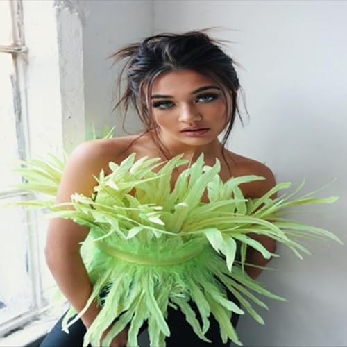 Aneesa Leena cover art