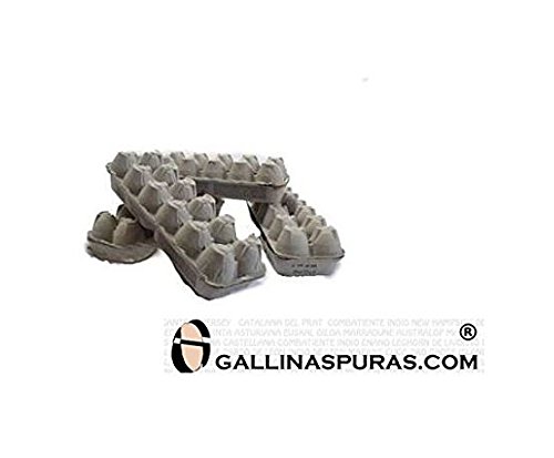 Hueveras de carton 25 unidades GALLINASPURAS.COM