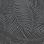 Black Palms