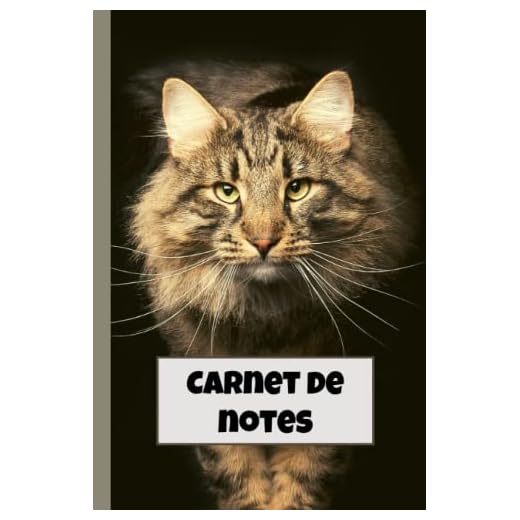 Carnet De Notes: Pour Les Amoureux Des Chats / Spécial Maine Coon
