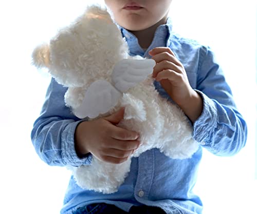 Angel Bear And Storybook, Grief Gift For Child, A Teddy Bear Stuffed Animal To Comfort Grieving Children, Kids Sympathy Gift To Send To Funeral, Memorial Service, Or Home #TOP2