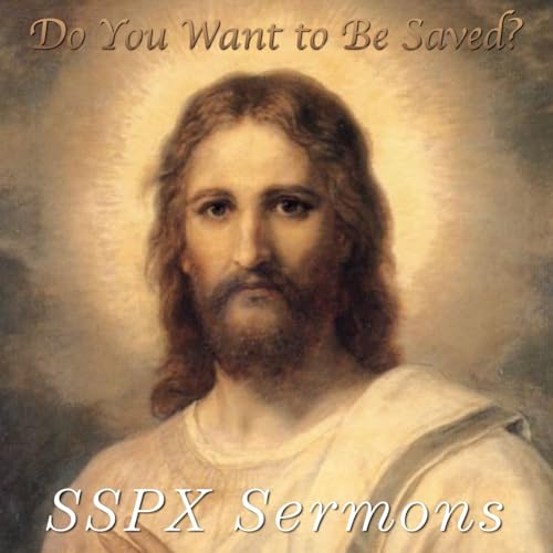 Do You Want to Be Saved? &ndash; SSPX Sermons
